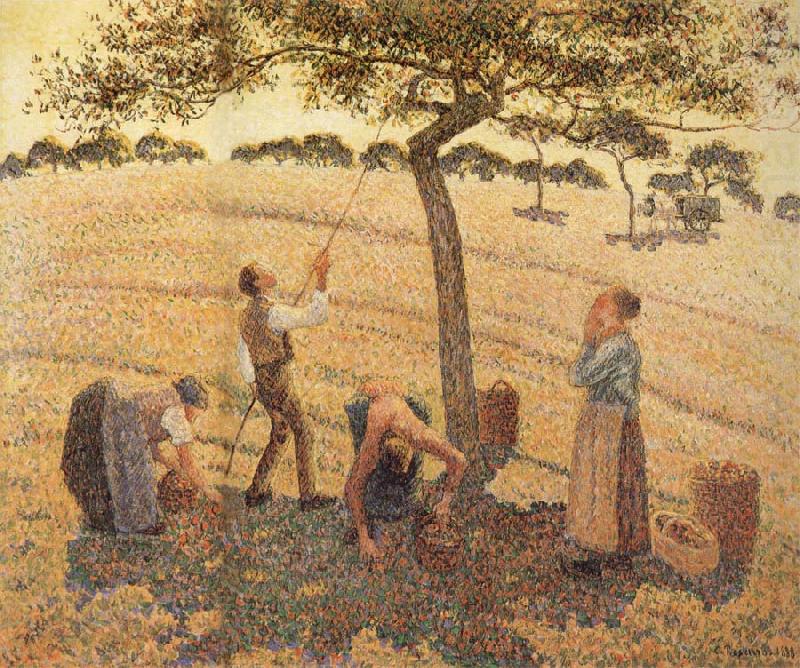 Camille Pissarro Pick Apple china oil painting image